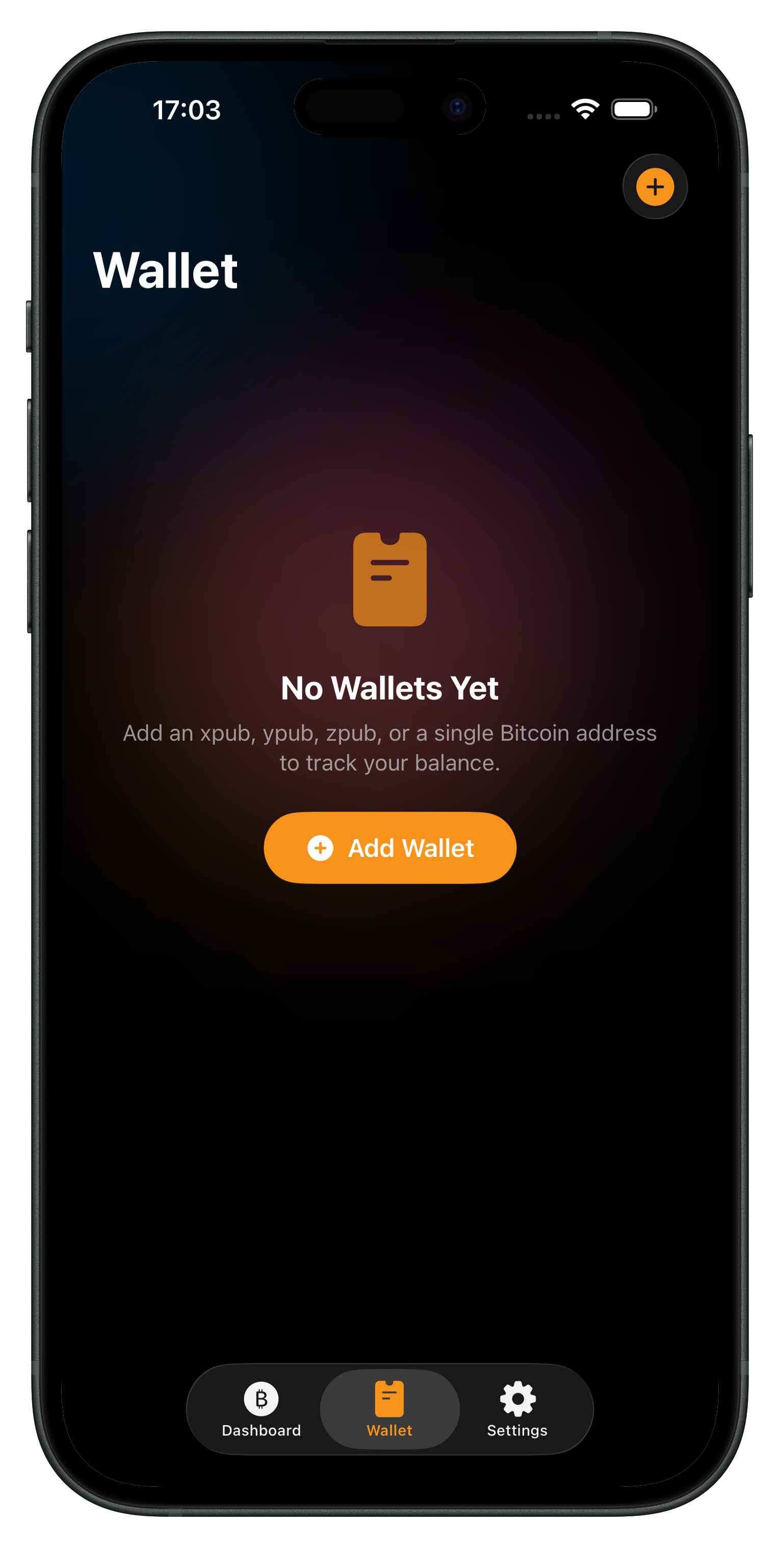 Set up watch-only wallets