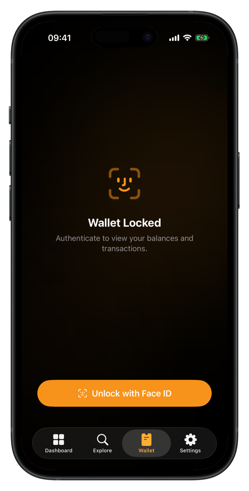 Bitcoin Insight Wallet tab locked behind Face ID
