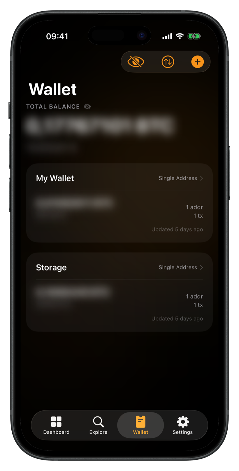 Hide and blur balances for shoulder-surfing privacy